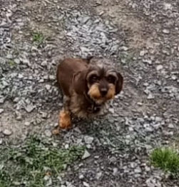 [Image: 20230619-194501.jpg]