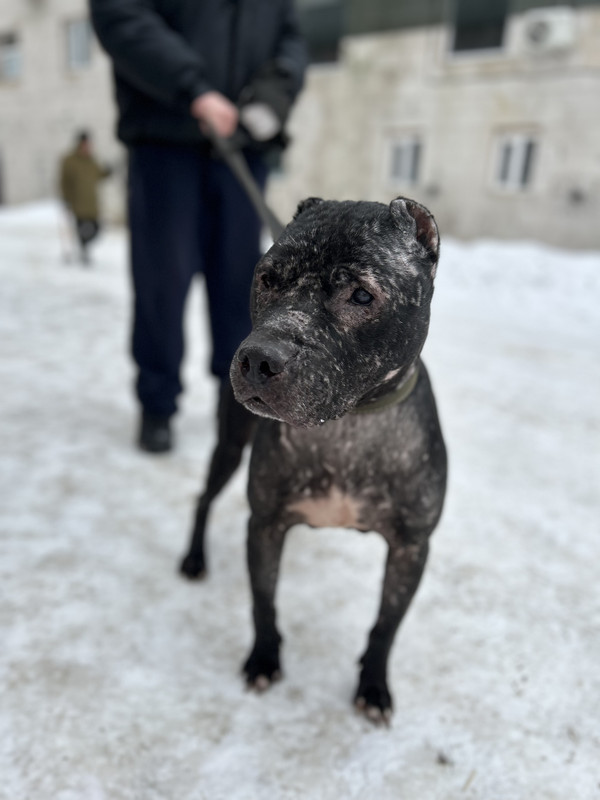 8AF1A093-246D-4851-BF4A-C402A84A061C