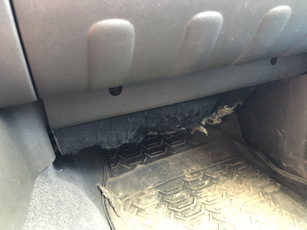 AD9DB894-C7CE-47A4-8A87-6195975BD394