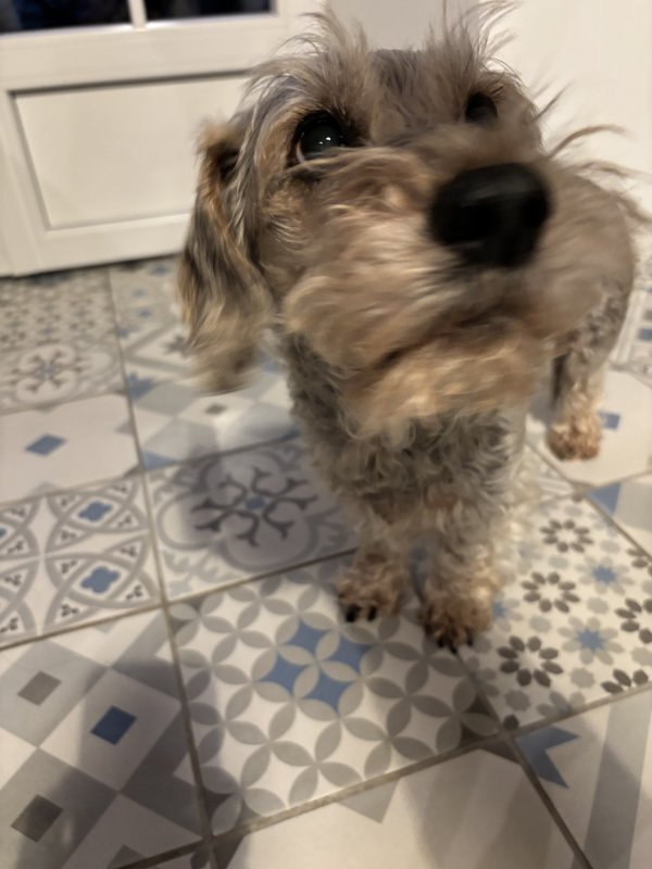 [Image: IMG-9312.jpg]