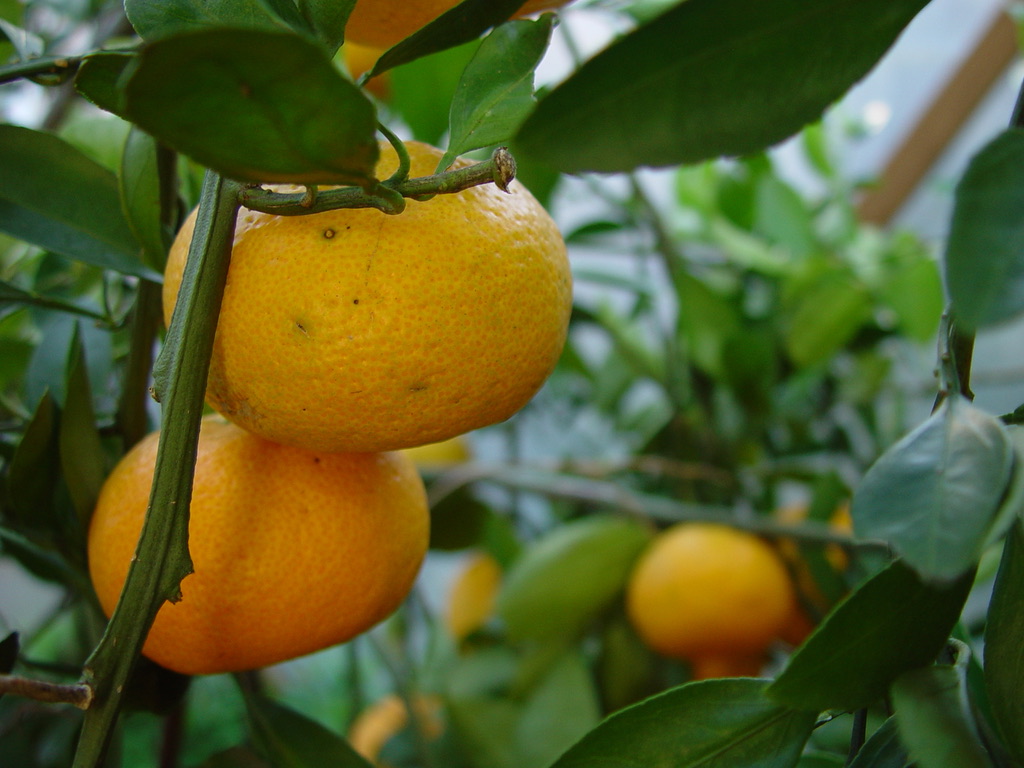 64FA7BE5-6D1C-430B-B95C-9722759CACE0_1_105_c