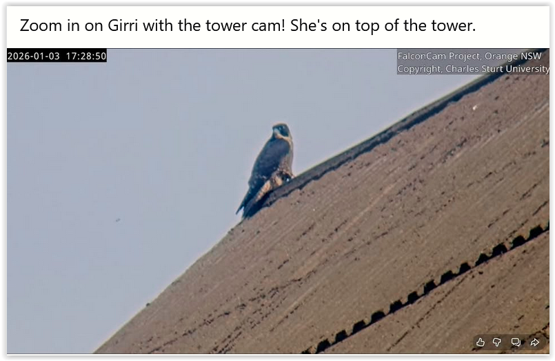 Screen Shot 01 03 26 at 01 56 PM