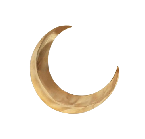 moon icon