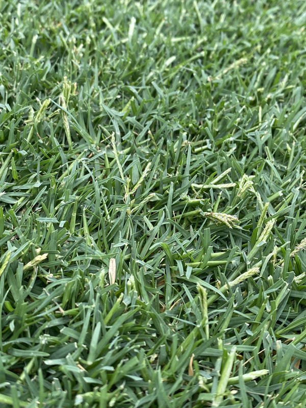 CB75B977-431E-42C8-9CF3-5AF03E9962F9