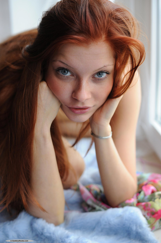 GN4-65
