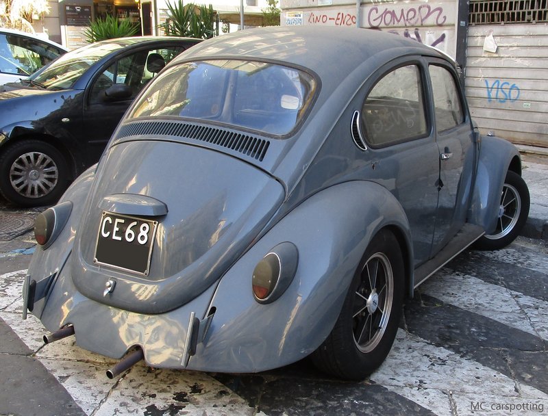 IMG-3629.jpg