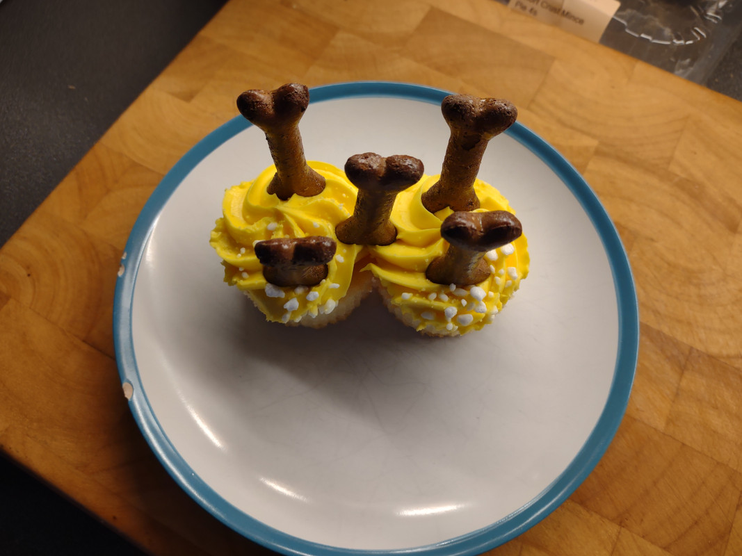 IMG_20201124_154939098