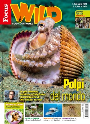 Focus Wild N.156 - Luglio 2024