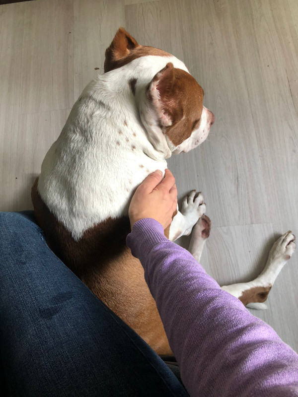 86D39B4E-D882-438E-81C5-64D362B8A4BE