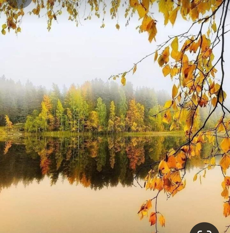 Screenshot_20240131_210940_Pinterest