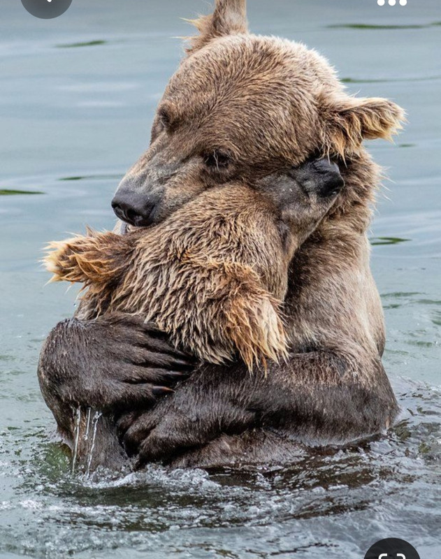 Screenshot_20231030_202536_Pinterest