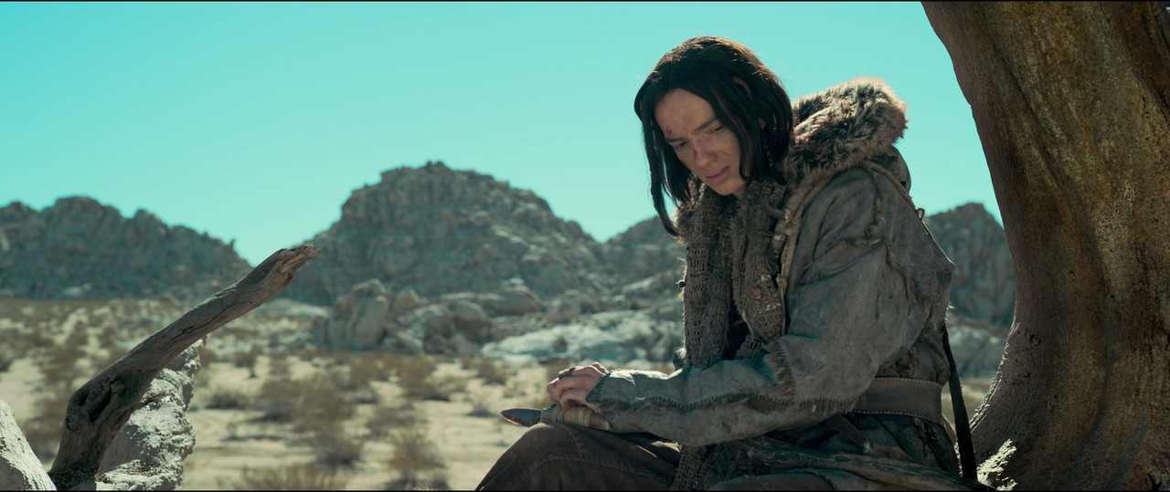 (Thuyết Minh - Sub Việt) Alpha 2018 ViE 1080p Bluray DTS x264-DRONES.mkv_snapshot_00.40.30.511