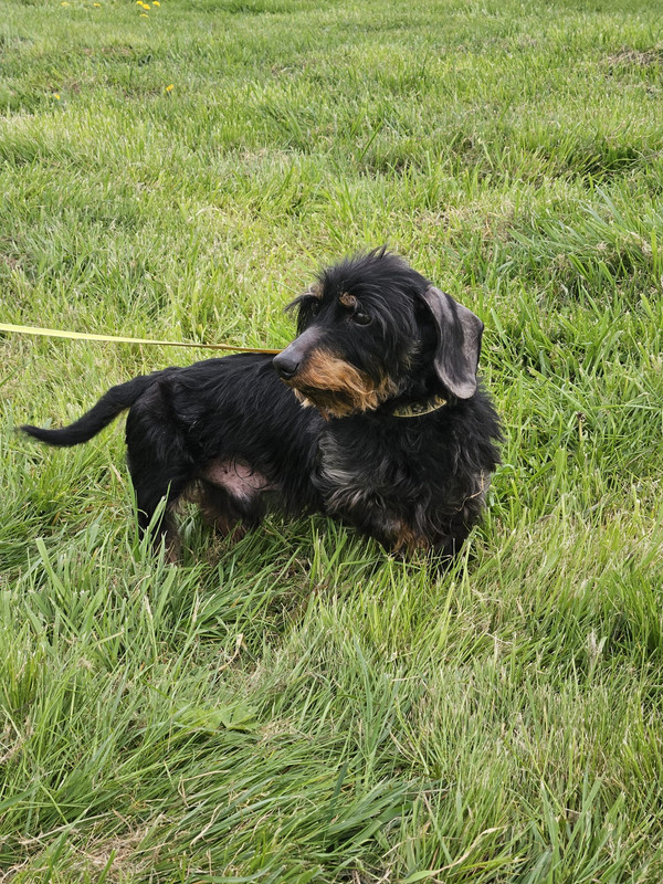 [Image: IMG-20240325-WA0011.jpg]