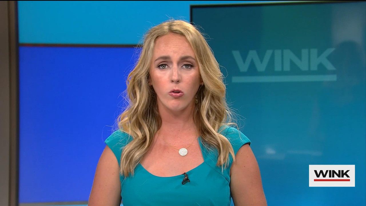 06.06 - 04.00.00 - WINK News @ 11PM Saturday. Local news, sports and ....ts_snapshot_18.51_[2021.06.