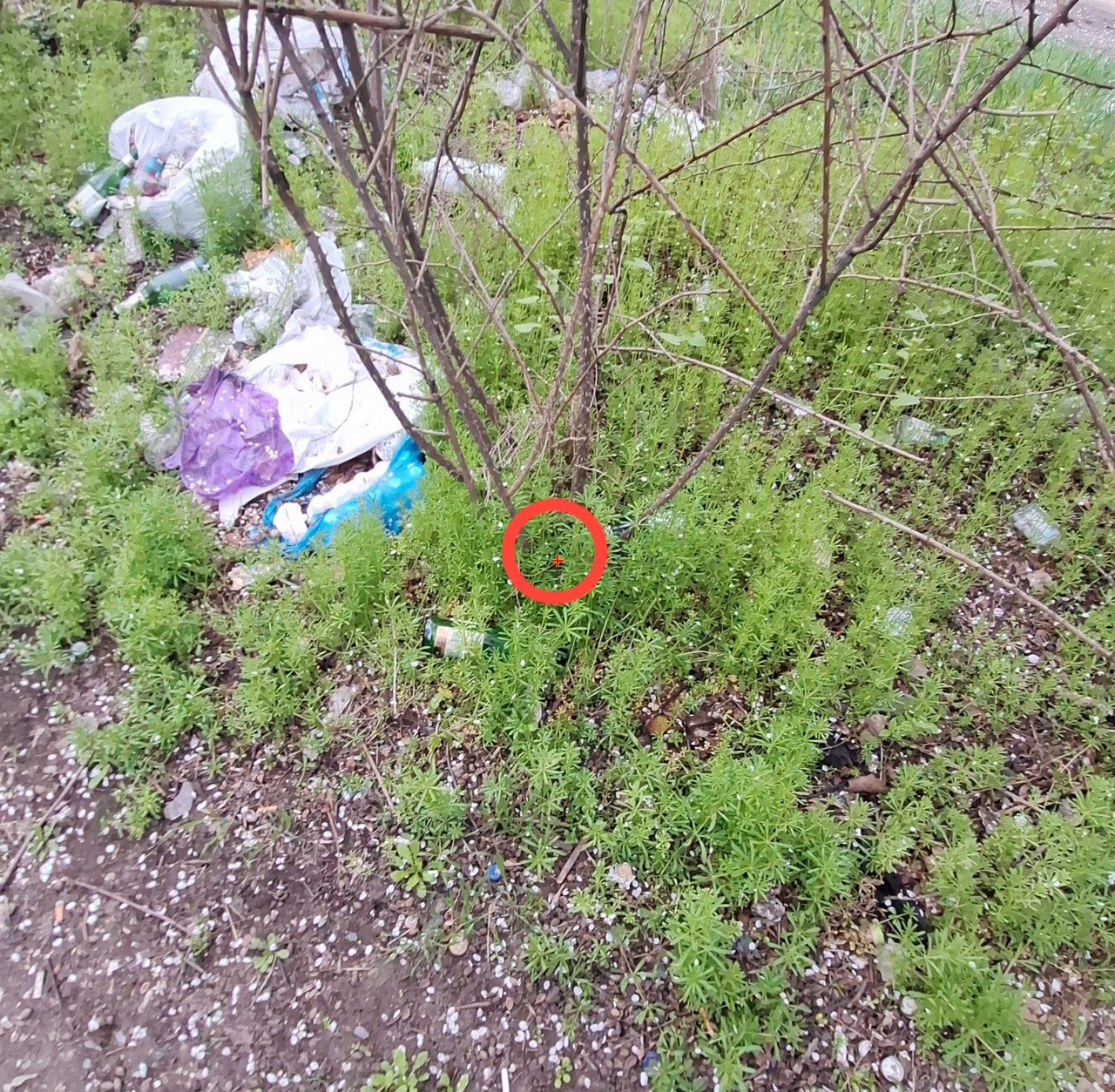 photo 2026 04 14 01 32 10