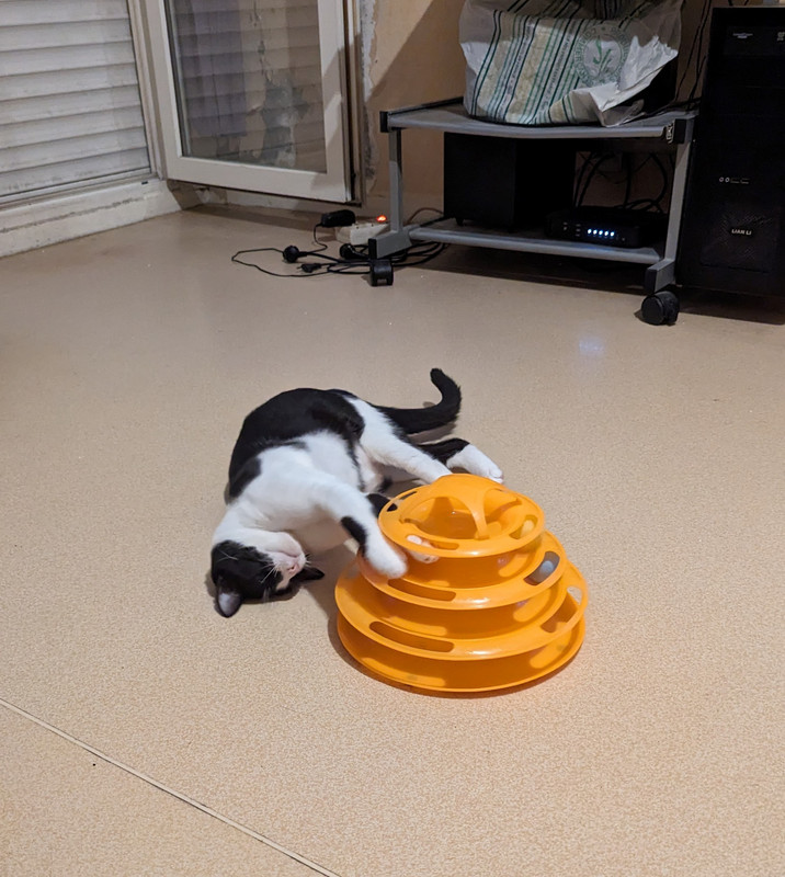 PXL_20230901_191241090 (2)