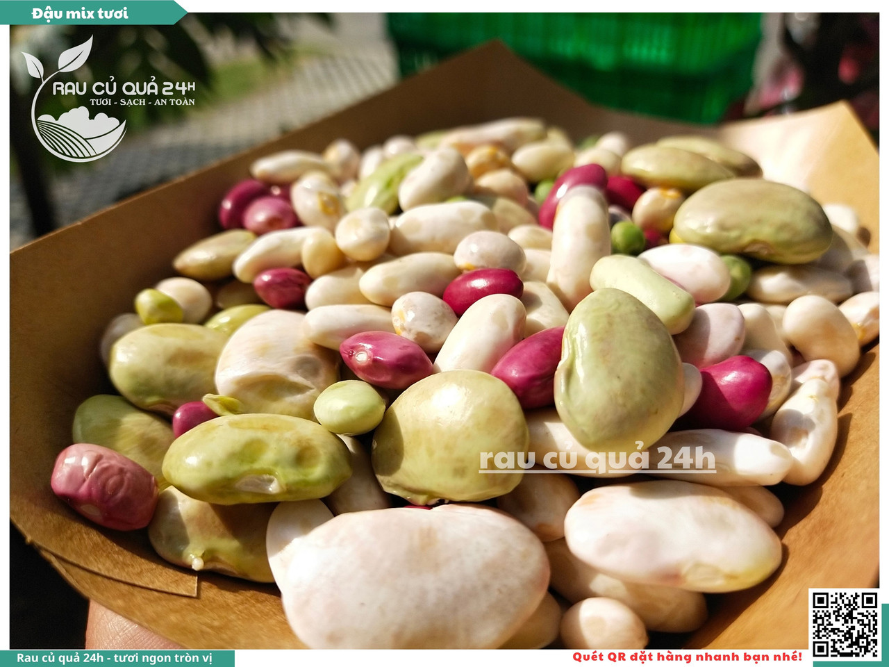 Đậu Mix Tươi 17