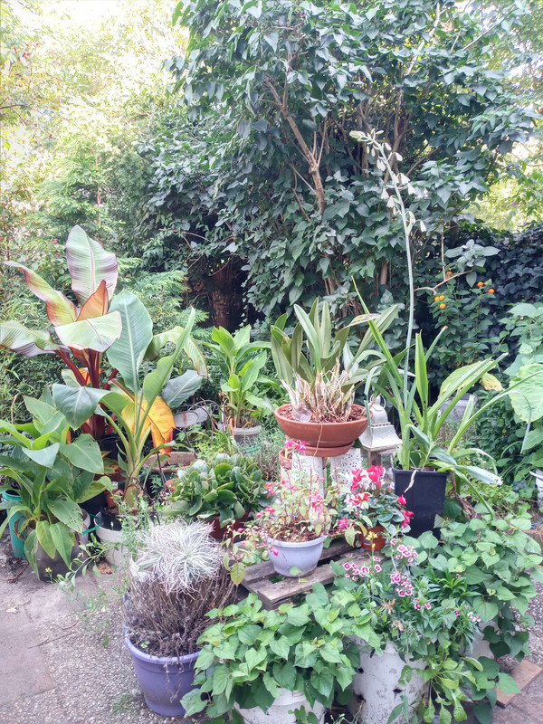 [Image: 20210906-112215.jpg]