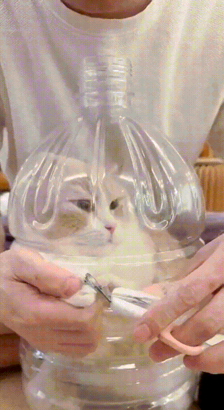 Лучшие гифки от форумчан (*)