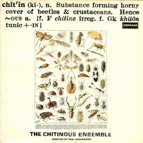 The Chitinous Ensemble - Chitinous (1971) The Chitinous Ensemble - Chitinous (1971)