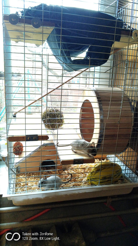 IMG-10ca13faf8054тл