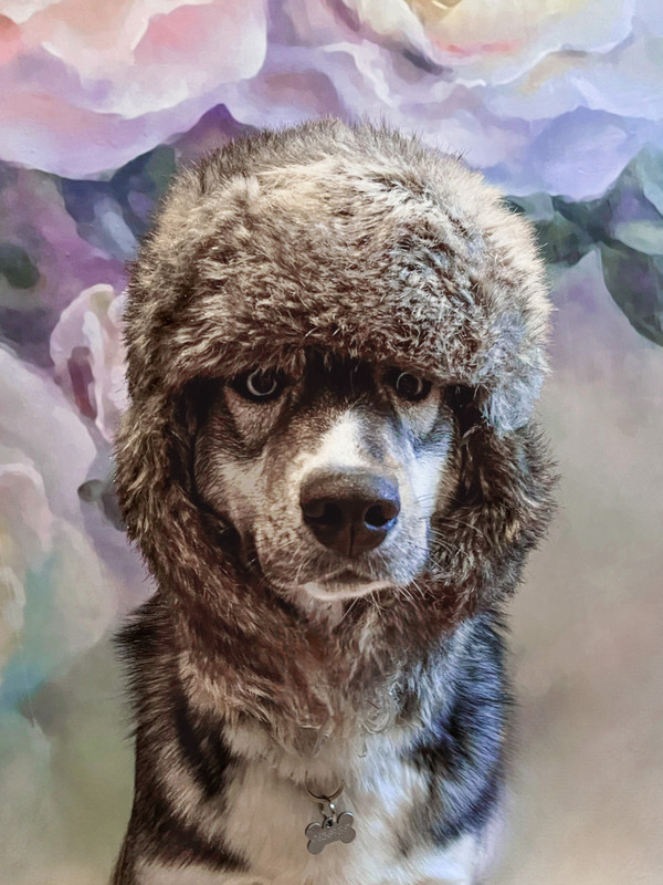 8C66A37B-1E79-447D-BAD7-574FF2258AC5