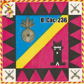 BCac236