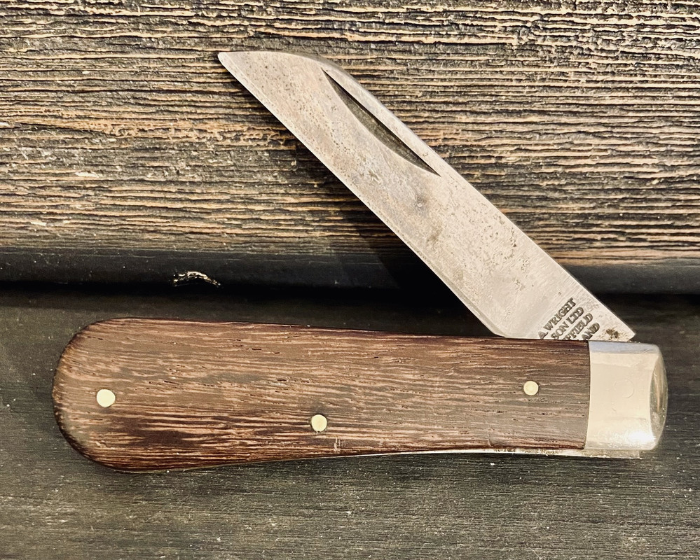 F2E9C271-D607-4B40-9929-58F0EE4F2864_1_201_a