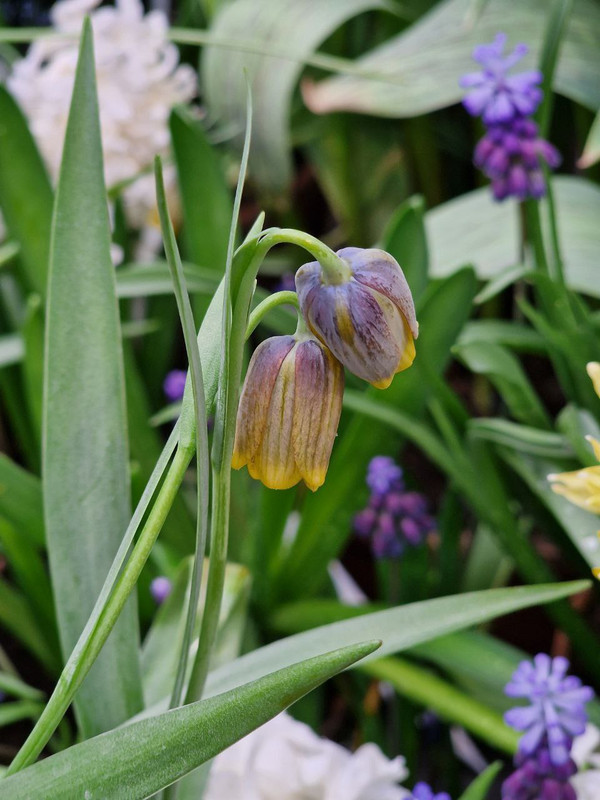 IMG_20250313_214902_015