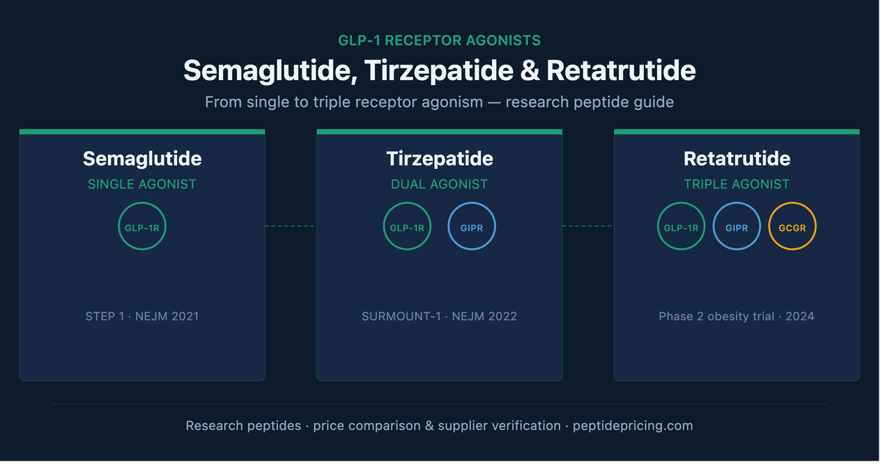 Semaglutide, Tirzepatide, and Retatrutide: How the GLP-1 Family Actually Works