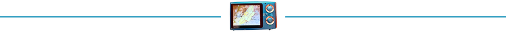 295