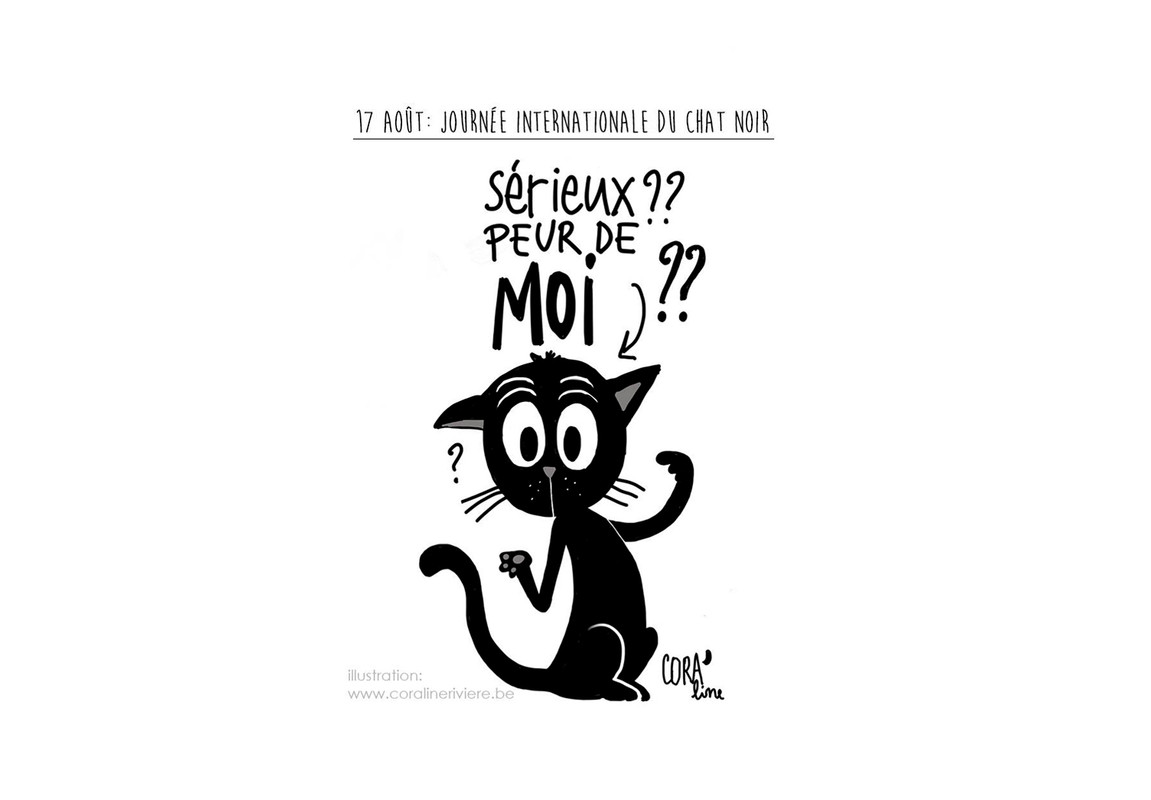 17aout-journee-internationale-du-chat-noit-superstition-peur-des.jpg