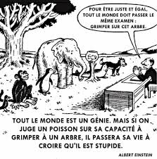 Le développement de l intuition à