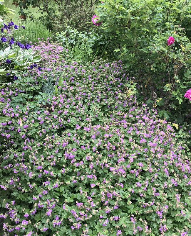 8A8DB96C-1D4C-4B55-8DC3-46BB19C1258D