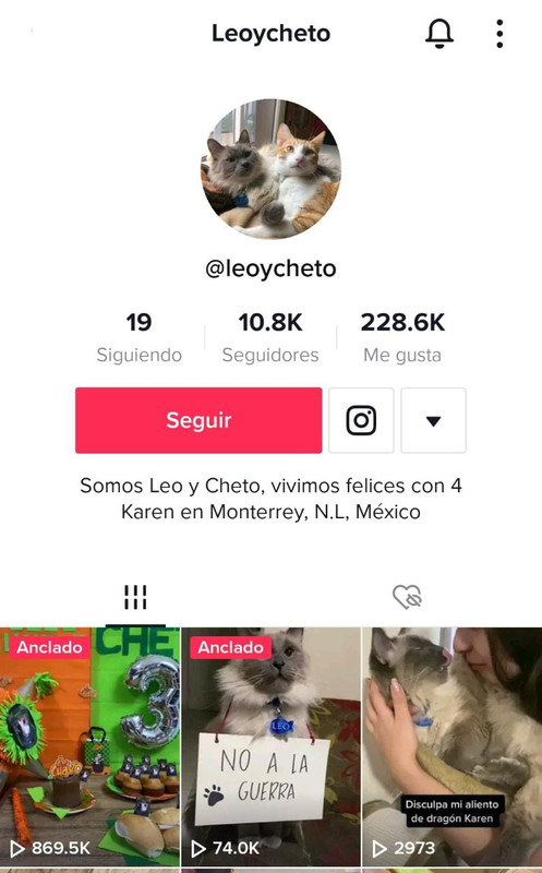Gatito festeja su cumpleaños al estilo de El Chavo del 8 y se hace viral
