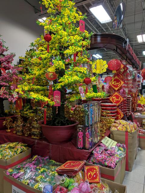 [Image: IMG-20190119-124427.jpg]