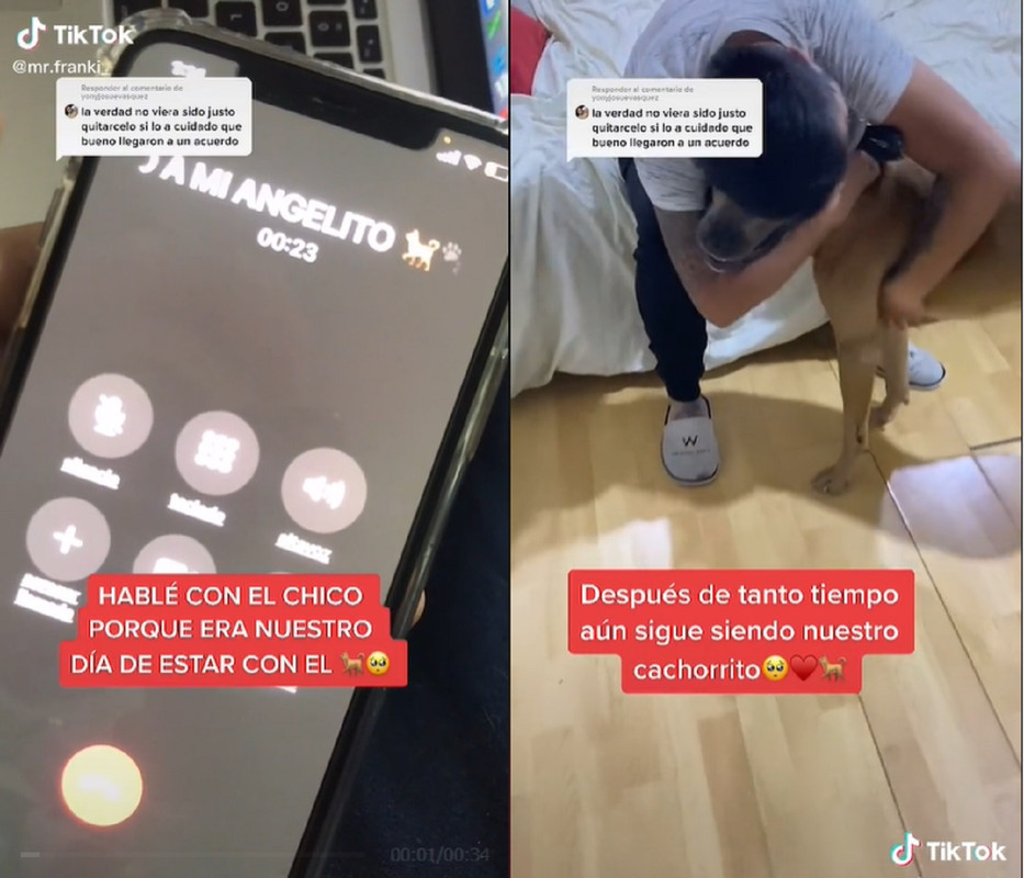 Perro se hace viral al reencontrarse con su amo tras años de estar perdido