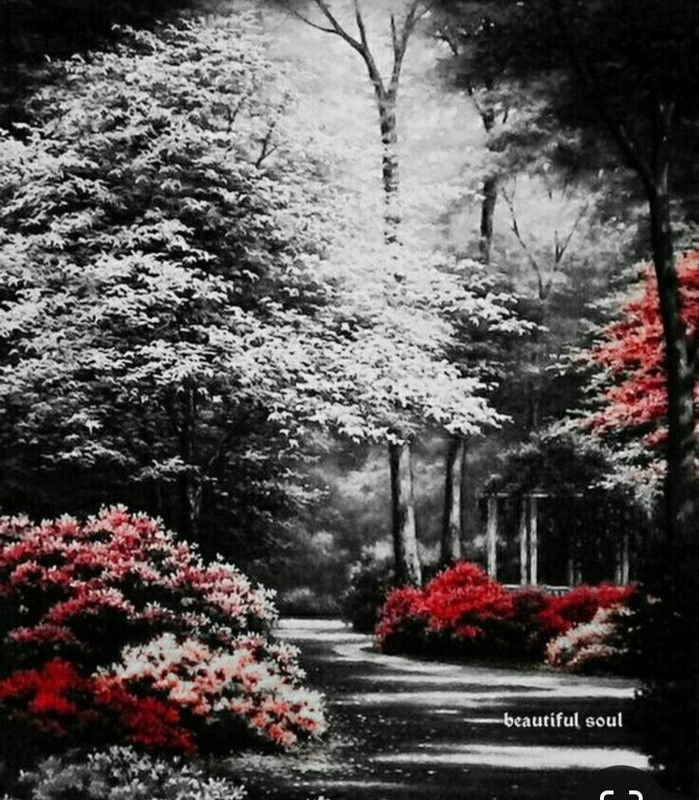 Screenshot_20230401_012117_Pinterest