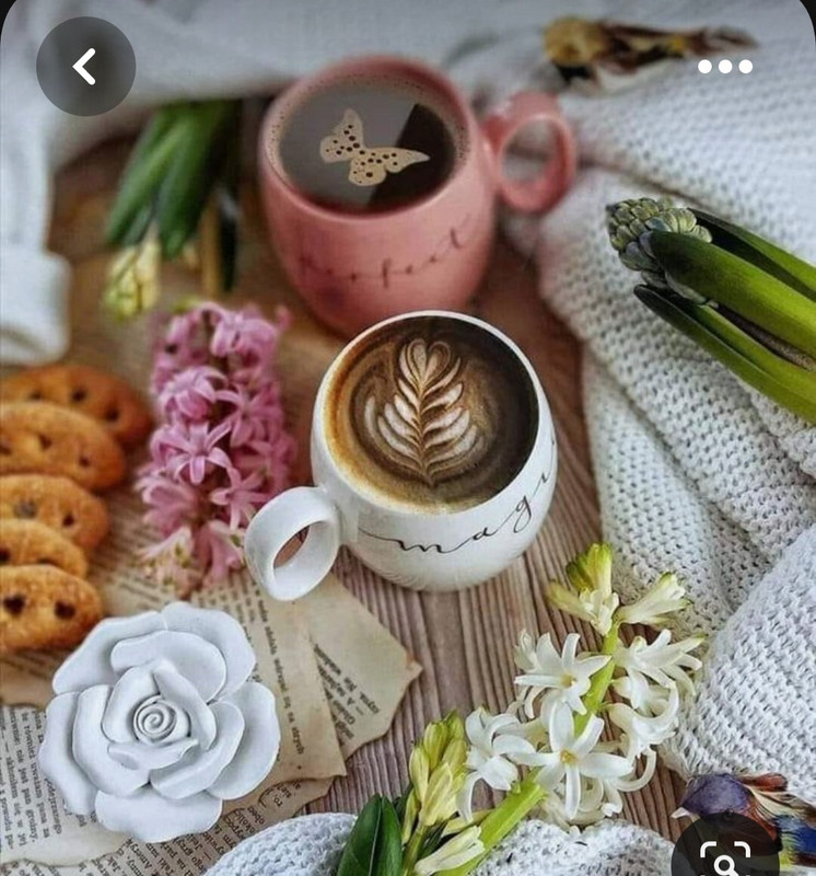 Screenshot_20230717_212801_Pinterest