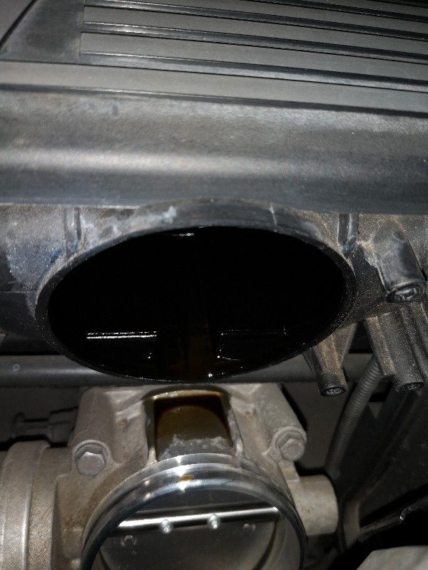 IMG_20181029_083617-600x800