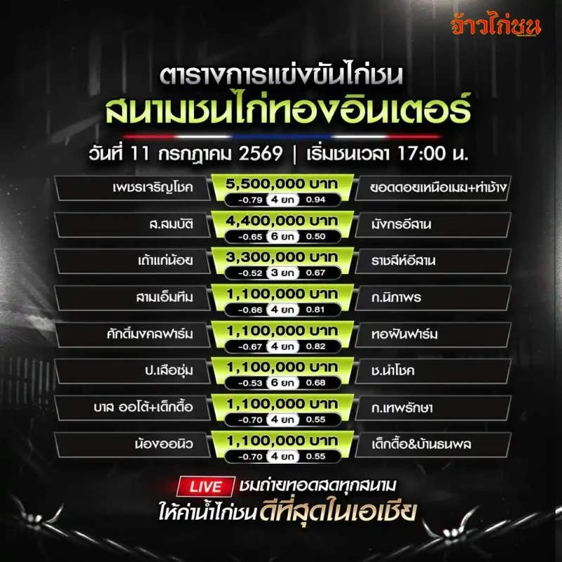 โปรแกรมไก่ชน สนามชนไก่ทองอินเตอร์ วันที่ 11 กรกฎาคม 2569 ภาพรวมโปรแกรมทั้งหมด