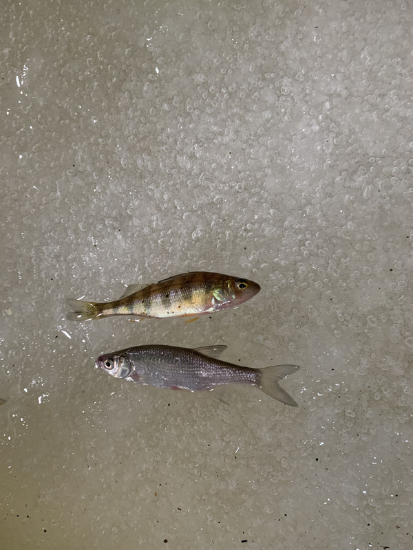 725B1043-428E-4EBD-827E-3A339D99F63D