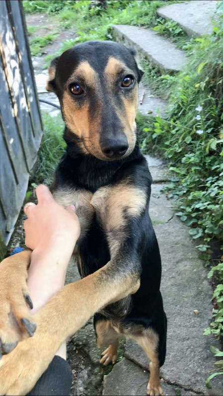 65FB2F39-EB27-4015-990B-21FA26B2E815