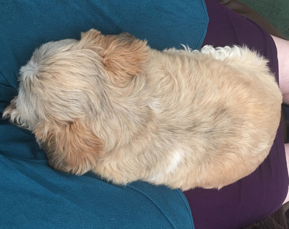 A8F53ED7-D813-408A-853B-596A75FAAC39