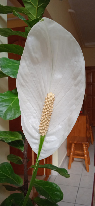 IMG_20230220_113633[1]