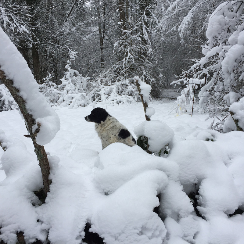 D740B625-1728-4F51-A32A-2CBD180AA8F0