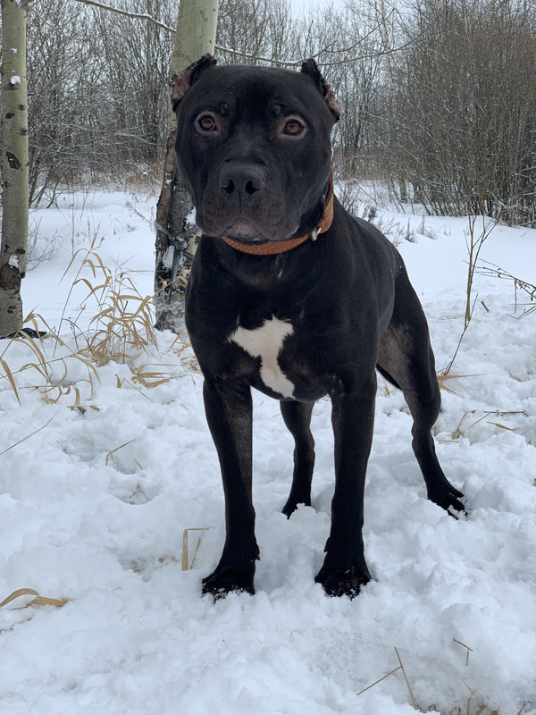 33A69AB8-BFDE-42E0-8B1F-B166BFD89379