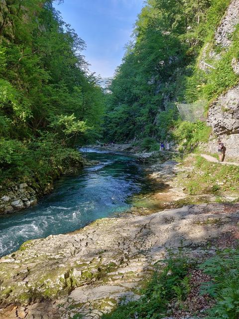 10 días por Eslovenia, Croacia y Bosnia con 3 niños. - Blogs de Europa Oriental - Lunes: Cuevas de Postoina y Skocjan  Castillo de Predjama, Vintgar y lago Bled (17)