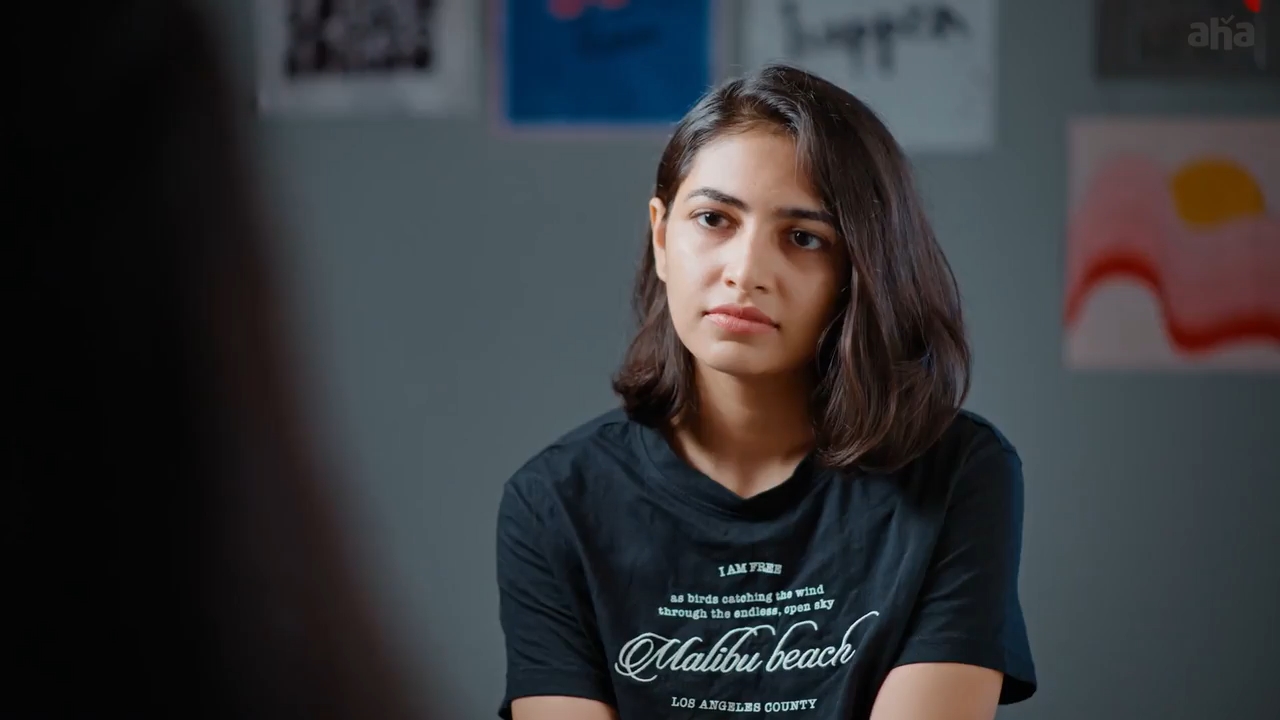 Anandalahari (2025) Season 1 [Telugu] WebRip 480p 720p ESub - Complete Screenshot
