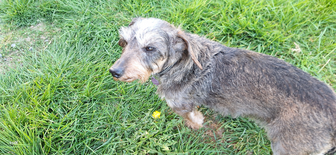 [Image: 20250411-185021.jpg]